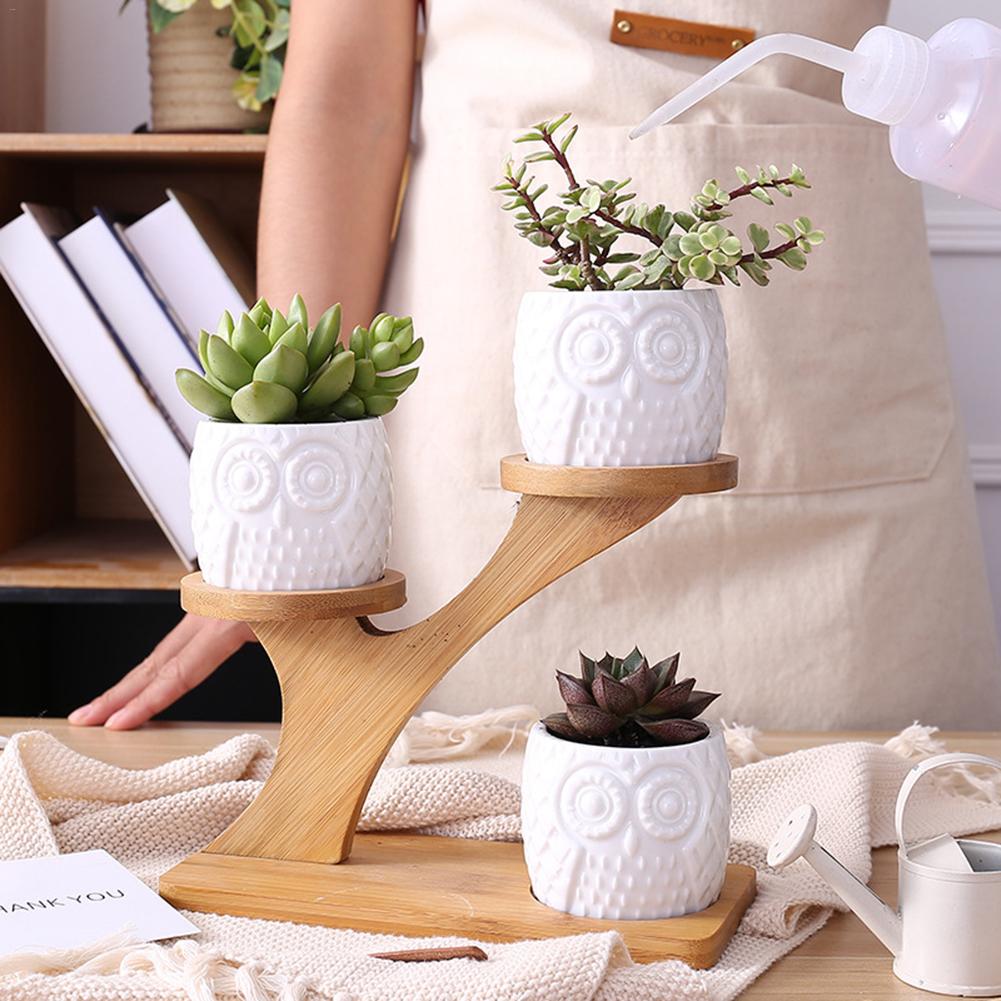 succulent pots ceramic Succulent Pots & Bamboo Shelf – KBNDecor