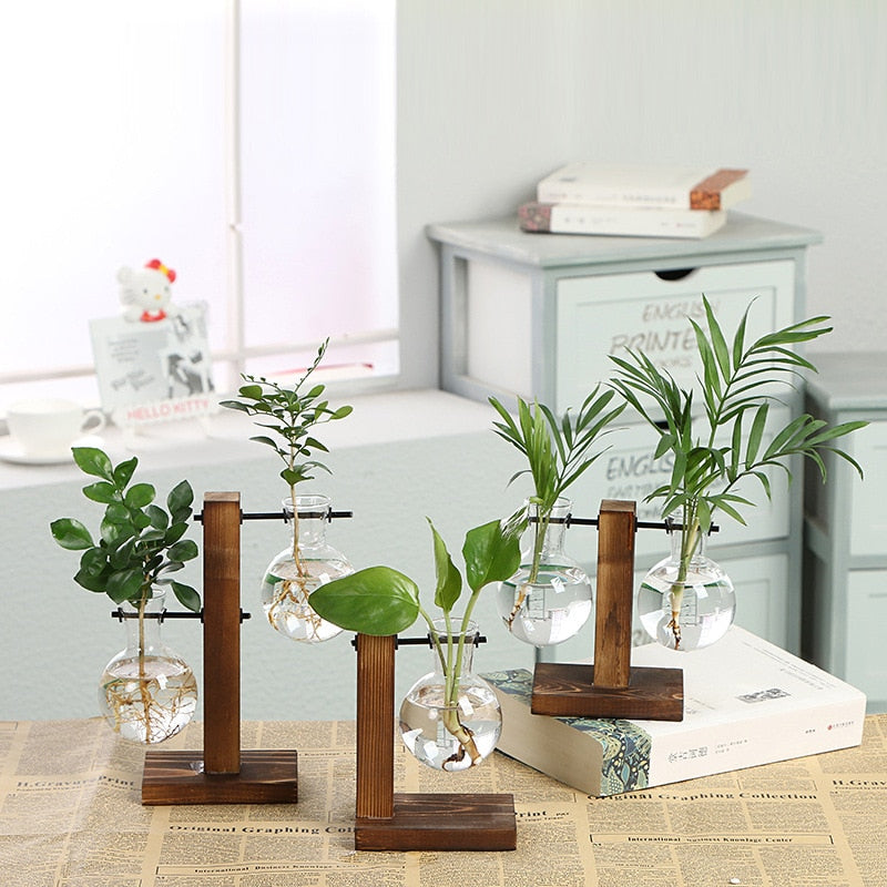 best plants for hydroponic vase A Touch of Nature: Hydroponic Terrarium Vase for Office Decoration