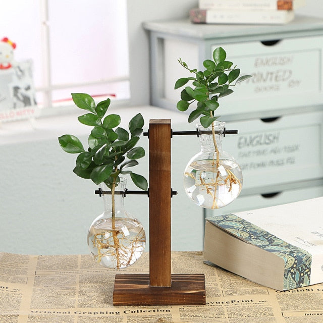 hydroponic plant vase A Touch of Nature: Hydroponic Terrarium Vase for Office Decoration
