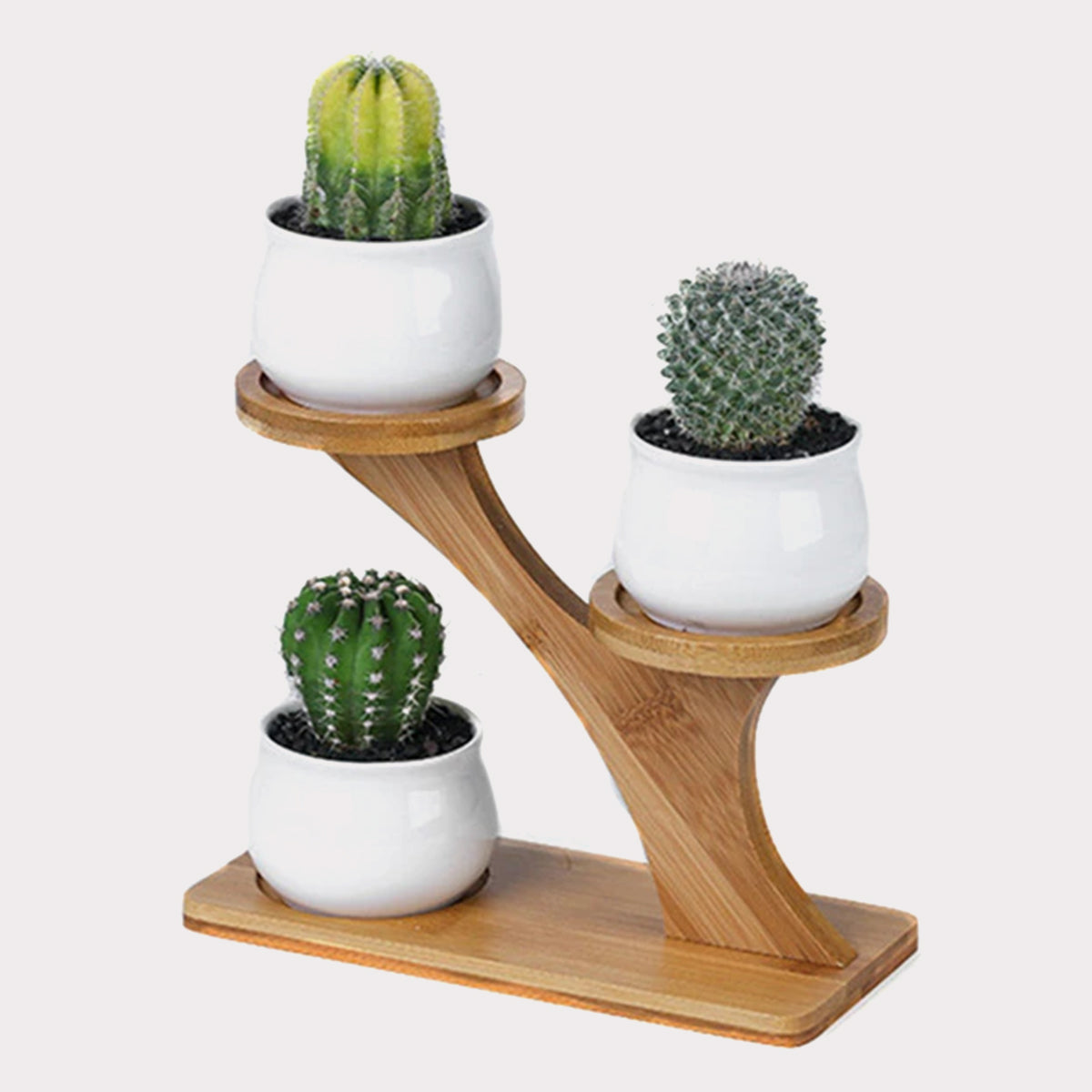 tiered succulent pot Succulent Pots & Bamboo Shelf – KBNDecor